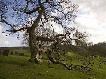 Chellowdene 4*